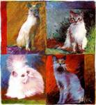 Cats, Montage by Stephen Teeter