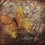 Celebrate Life by Marla Rae