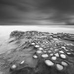 Celulas Bn by Moises Levy