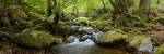 Cement Creek by Wayne Bradbury Photography