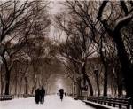 Central Park by Richard Calvo