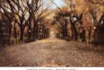 Central Park I by Timothy Wampler