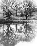 Central Park Lake by Christopher Bliss