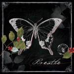 Chalkboard Wings I by Katie Pertiet