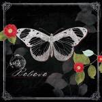 Chalkboard Wings II by Katie Pertiet