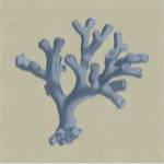 Chambray Coral II by Vision Studios