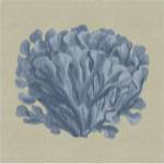 Chambray Coral III by Vision Studios