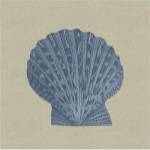 Chambray Shells IV by Vision Studios