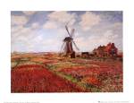 CHAMP DE TULIPES by Claude Monet