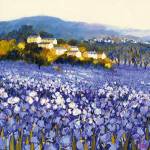 Champs D'iris, Provence by Hazel Barker