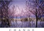 Change - Snowy Trees