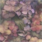 Changes II by S.G. Rose