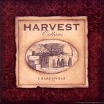 Chardonnay by Stephanie Marrott