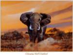 Charging Bull Elephants by Don Balke