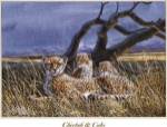Cheetah and Cubs by Don Balke