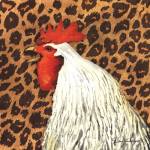 Cheetah Rooster by Barb Tourtillotte
