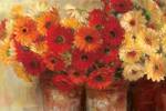 Chelsea Gerberas by Carol Rowan