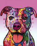 Cherish The Pitbull by Dean Russo
