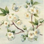 Cherry Bloom I by Pamela Gladding
