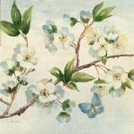 Cherry Bloom II by Pamela Gladding