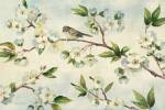 Cherry Bloom Landscape by Pamela Gladding