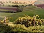 Chianti Hills by Michael Swanson