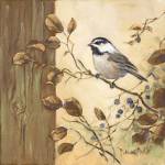 Chickadee Square II by Barbara Mock