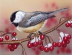 Chickadee With Berries by William Vanderdasson