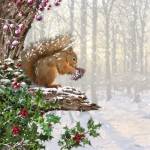 Christmas Squirrel by The Macneil Studio