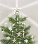 Christmas Star by The Macneil Studio