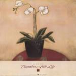 Cinnabar Still Life I by Maria Eva