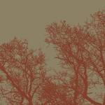 Cinnamon Tree I by Erin Clark