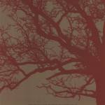 Cinnamon Tree III by Erin Clark