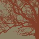 Cinnamon Tree III by Erin Clark