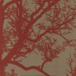 Cinnamon Tree IV by Erin Clark