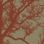 Cinnamon Tree IV by Erin Clark
