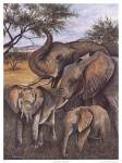 Circle of Life I by Dianne Krumel