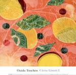 Citrus Limon I (SM.) by Ouida Touchon