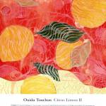 Citrus Limon II (SM.) by Ouida Touchon