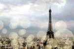 City of Lights by Emily Navas
