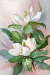 Classic Magnolia A by Barbara Mock