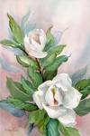 Classic Magnolia B by Barbara Mock