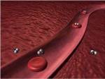 Close-up of red blood cells