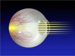 Close-up of the human eyeball