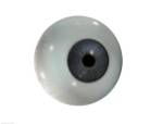 Close-up of the human eyeball