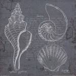 Coastal Blueprint I by Marco Fabiano