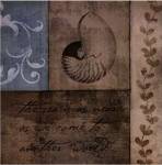 Coastal Inspiration V by Beth Anne Creative