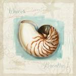 Coastal Jewels II by Lisa Audit