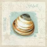 Coastal Jewels III by Lisa Audit