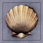 Coastal Shell II by Avery Tillmon